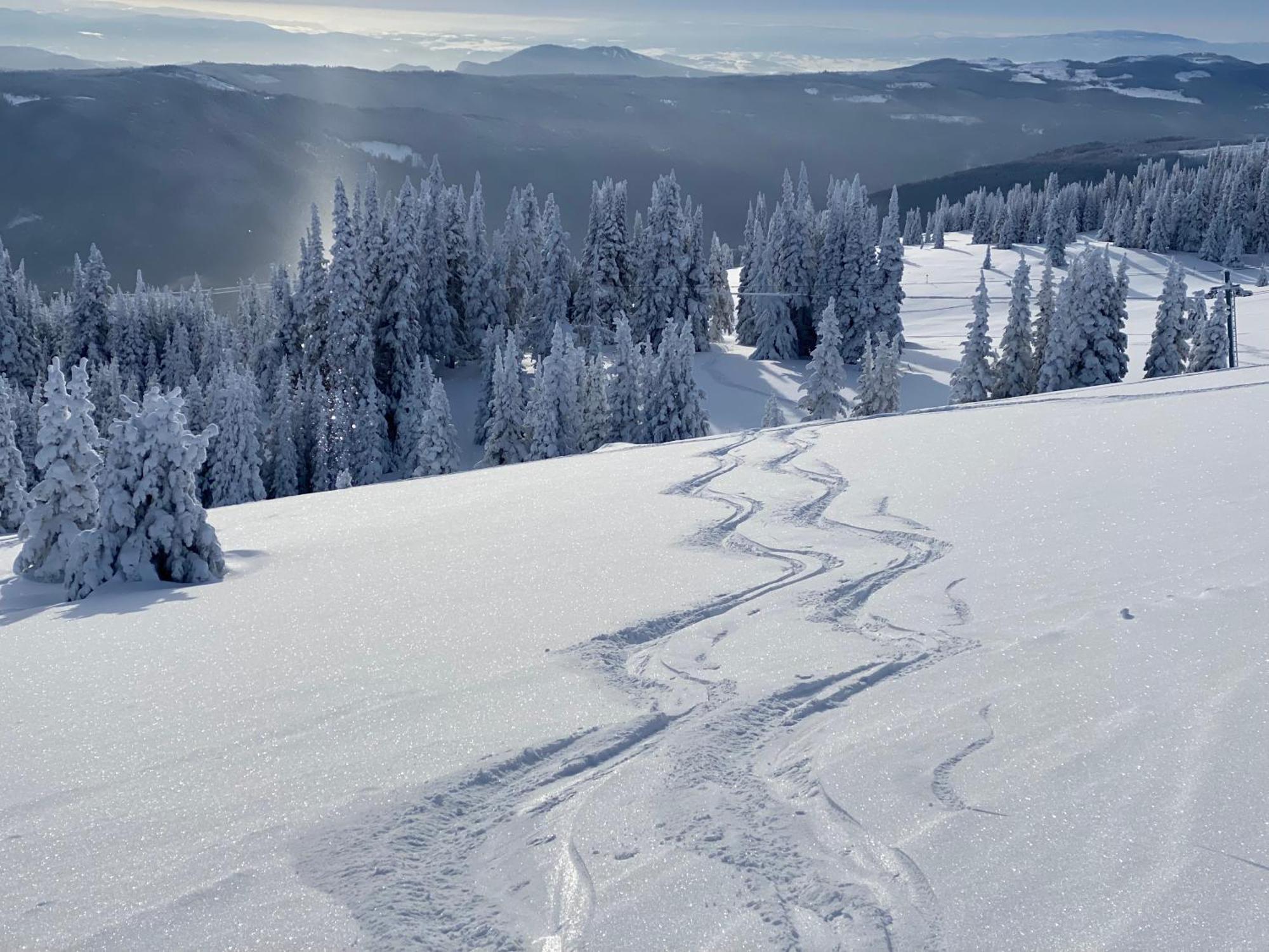 Morrisey Chalet At Sun Peaks Εξωτερικό φωτογραφία